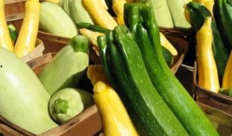 辽中吃瓜,揭秘当地特色美食背后的故事