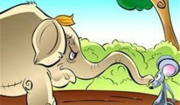 小老鼠偷瓜吃,一场趣味盎然的田园冒险